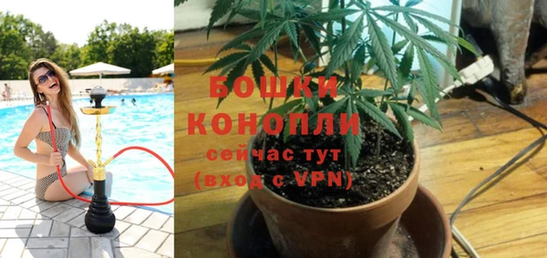 MESCALINE Новокубанск