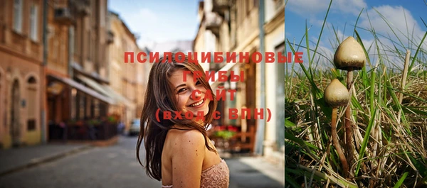 COCAINE Новозыбков