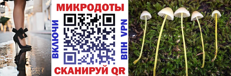 купить  цена  Белый  Галлюциногенные грибы Psilocybe 